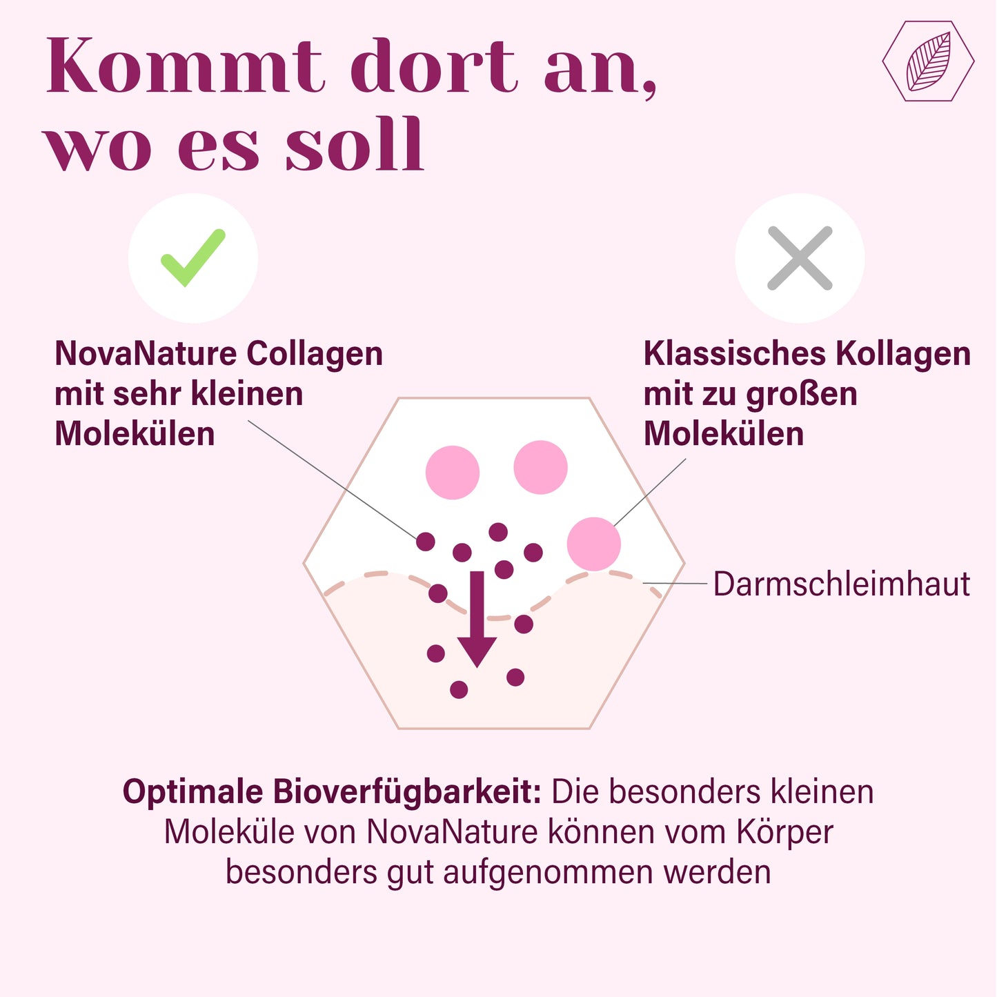 Collagen Drink Himbeere