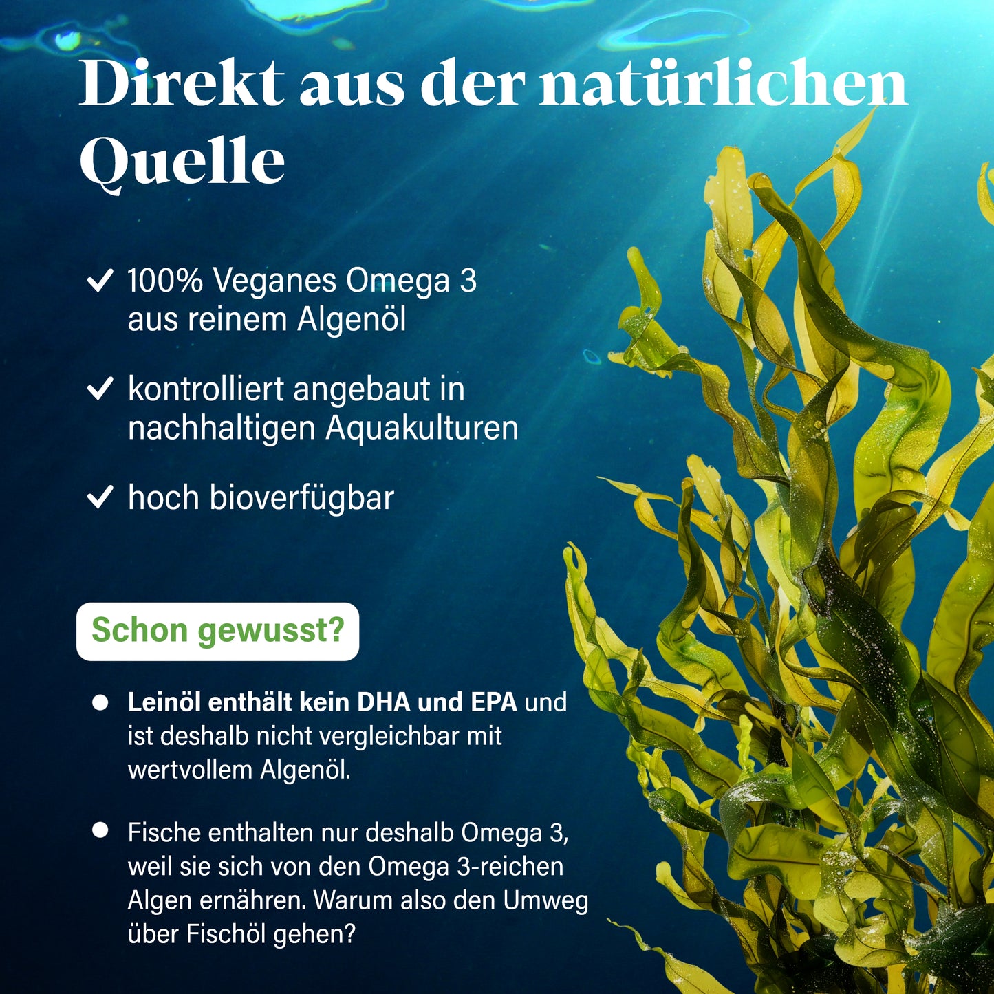 Omega 3 vegan