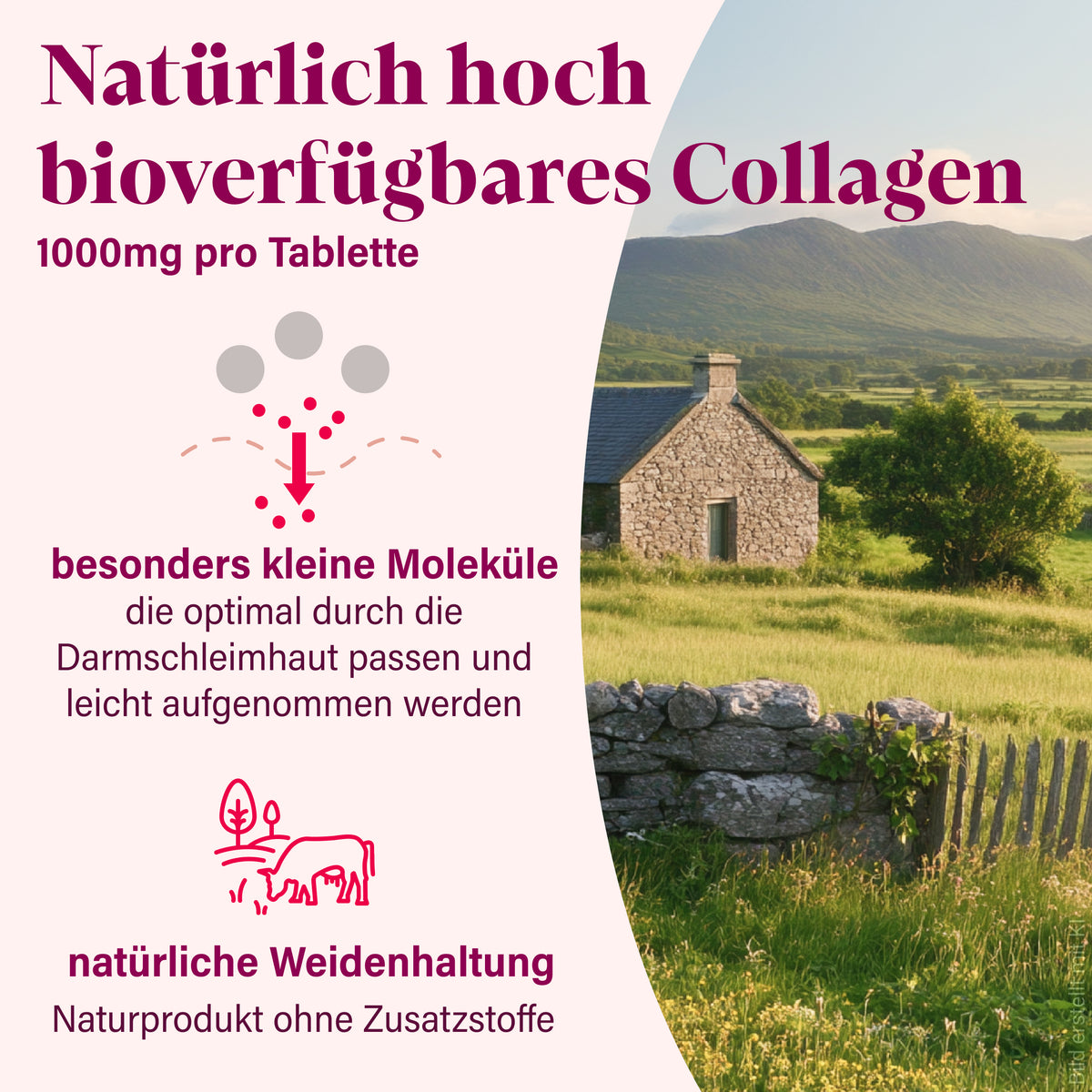 Collagen Tabletten