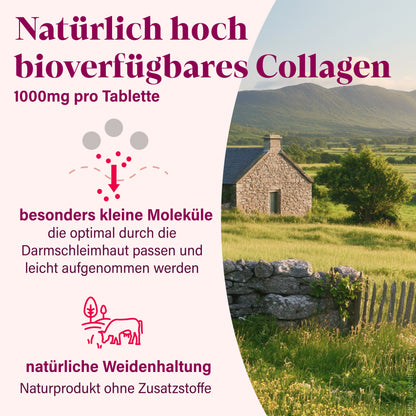 Collagen Tabletten