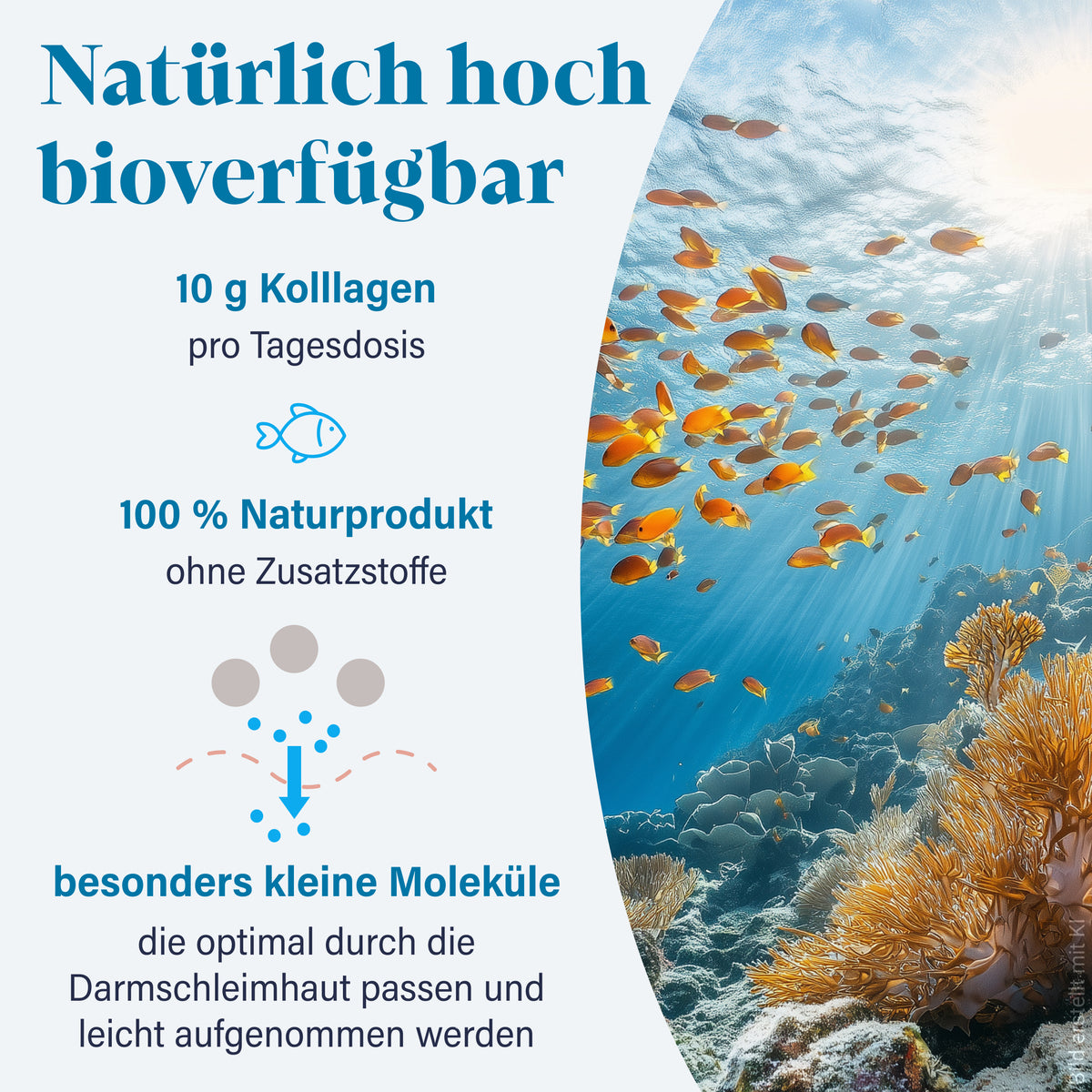 Collagen Pulver Marine
