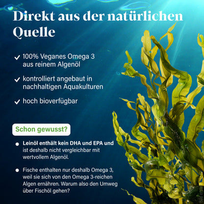 Omega 3 vegan
